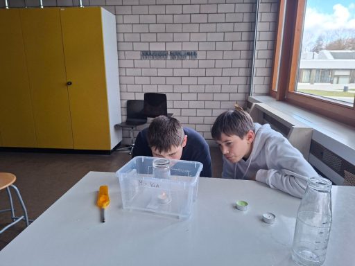 Zwei Jungen beugen sich über eine transparente Box auf einem Tisch.